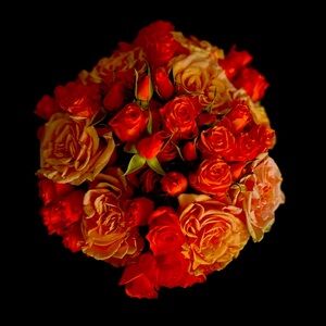 Meet your Posher, Vera